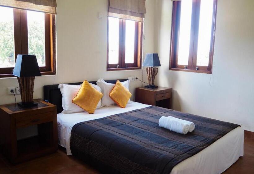 اتاق اکونومی, Ecosfera Hotel, Yoga & Spa