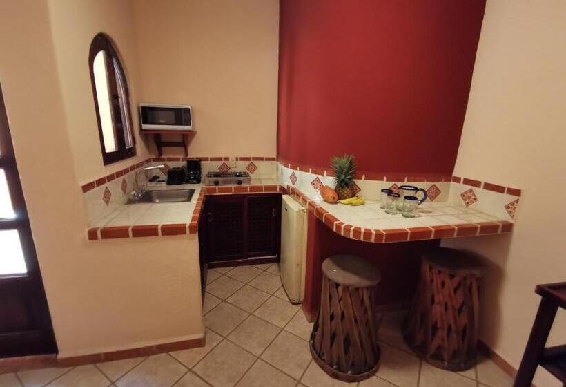 استودیو استاندارد با چشم‌انداز استخر, Villas Vista Suites Sayulita