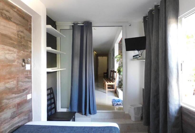 اتاق استاندارد, Zyan Rooms