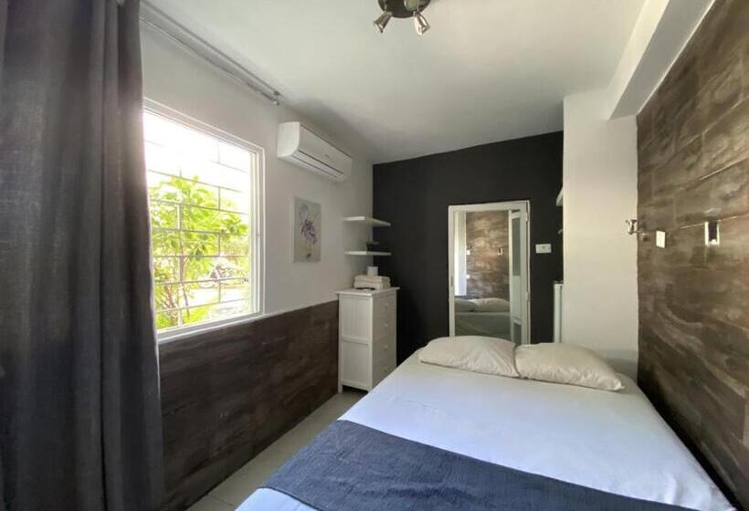 اتاق استاندارد, Zyan Rooms