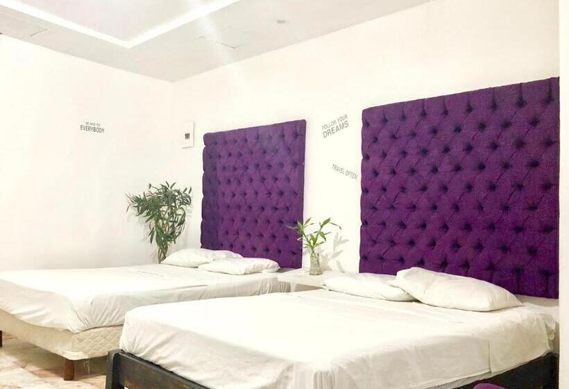 غرفه قياسيه سريرين مزدوجين, Zyan Rooms