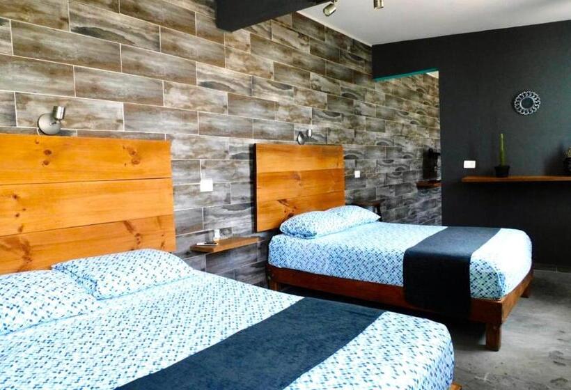 استودیوی لوکس, Zyan Rooms