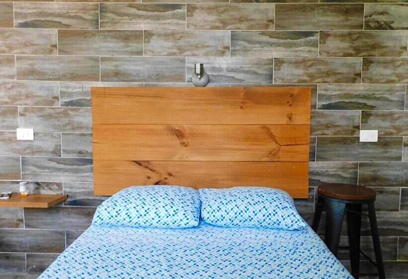 استودیوی لوکس, Zyan Rooms