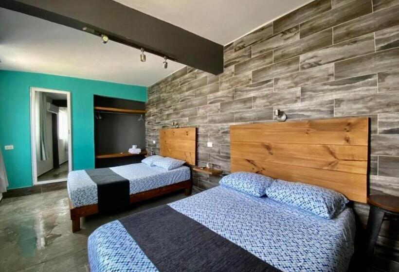 استودیوی لوکس, Zyan Rooms