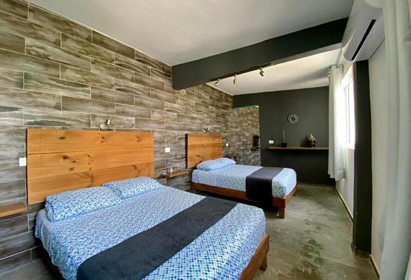 استودیوی لوکس, Zyan Rooms