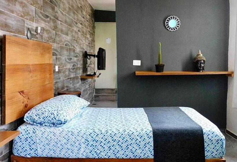 استودیوی لوکس, Zyan Rooms