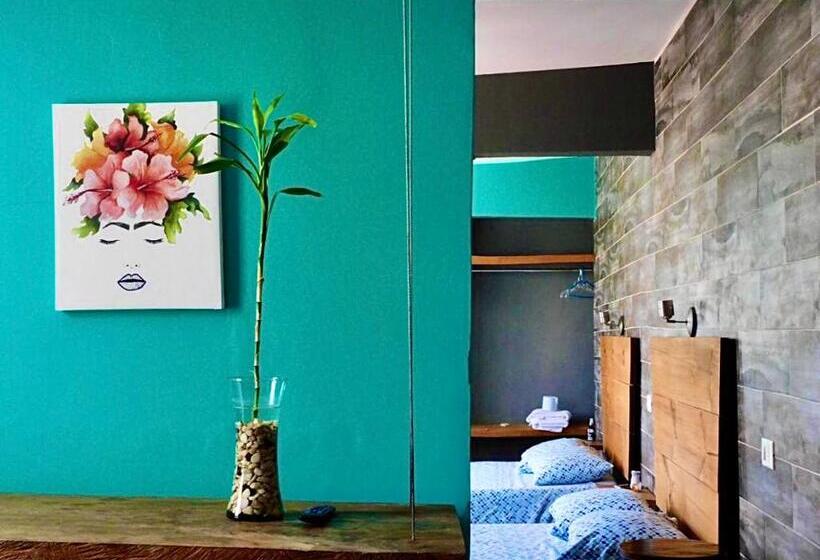 استودیوی لوکس, Zyan Rooms