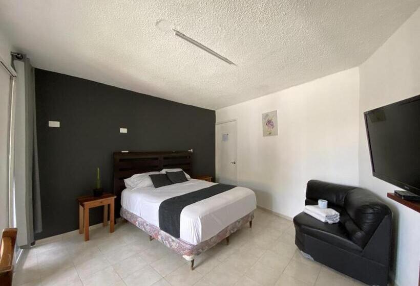 اتاق استاندارد, Zyan Rooms