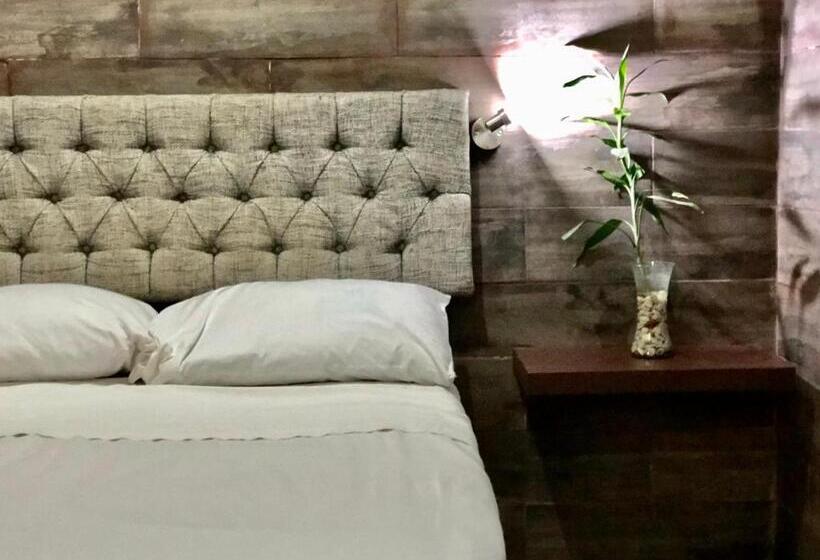 اتاق استاندارد, Zyan Rooms