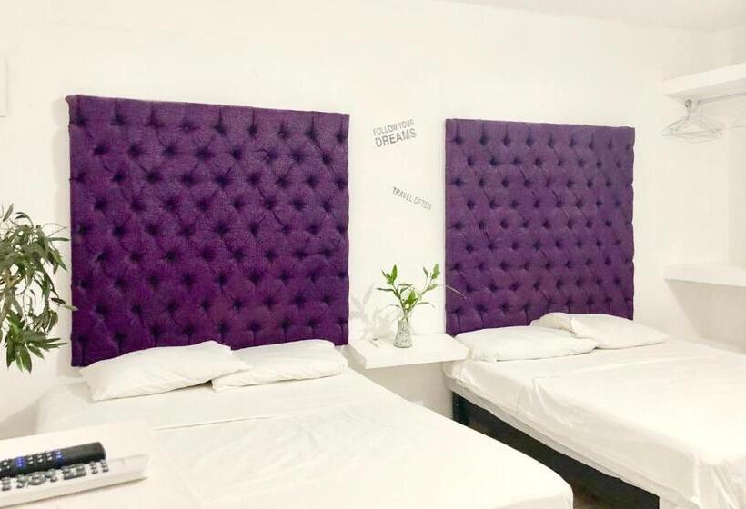 اتاق استاندارد با 2 تخت دوبل, Zyan Rooms