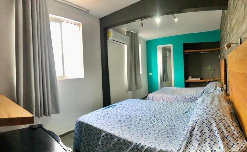 استودیوی لوکس, Zyan Rooms