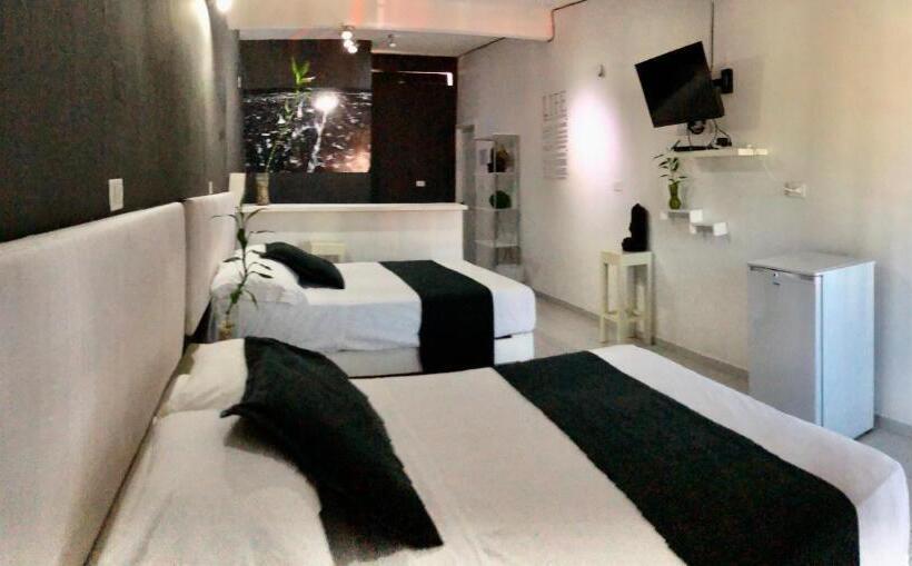 استودیوی لوکس, Zyan Rooms