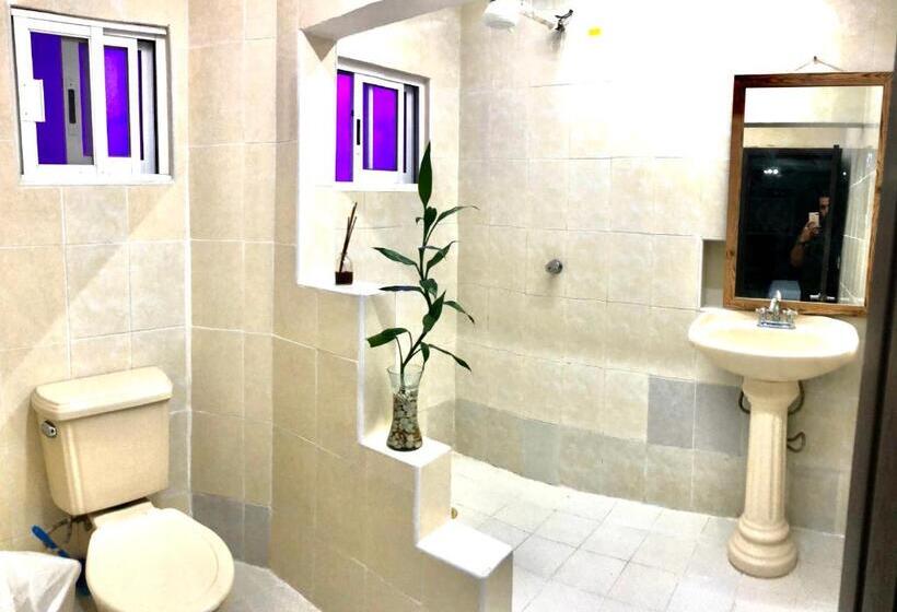 استودیوی لوکس, Zyan Rooms
