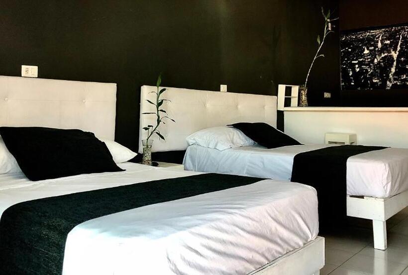 استودیوی لوکس, Zyan Rooms