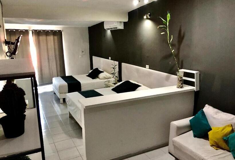 استودیوی لوکس, Zyan Rooms