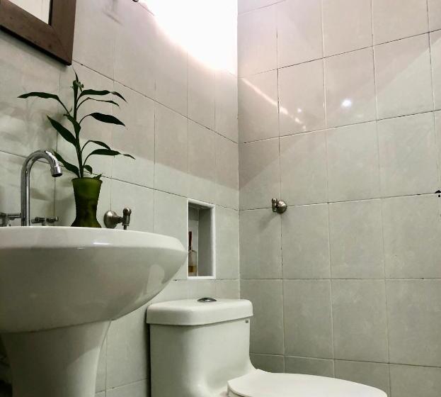 استودیوی لوکس, Zyan Rooms