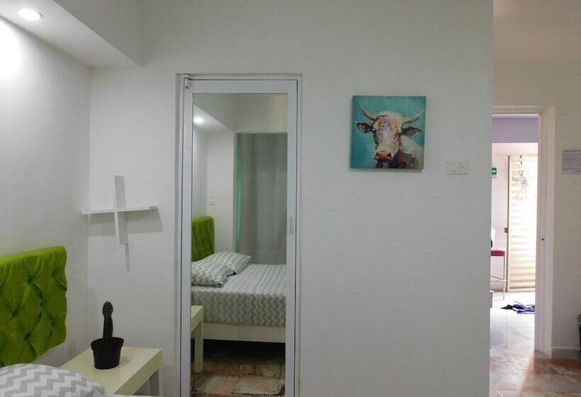 اتاق استاندارد, Zyan Rooms