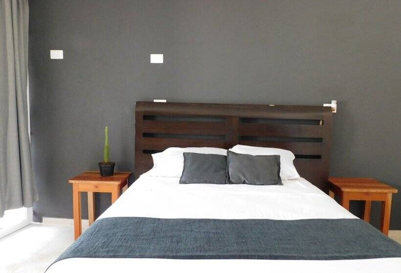 اتاق استاندارد, Zyan Rooms