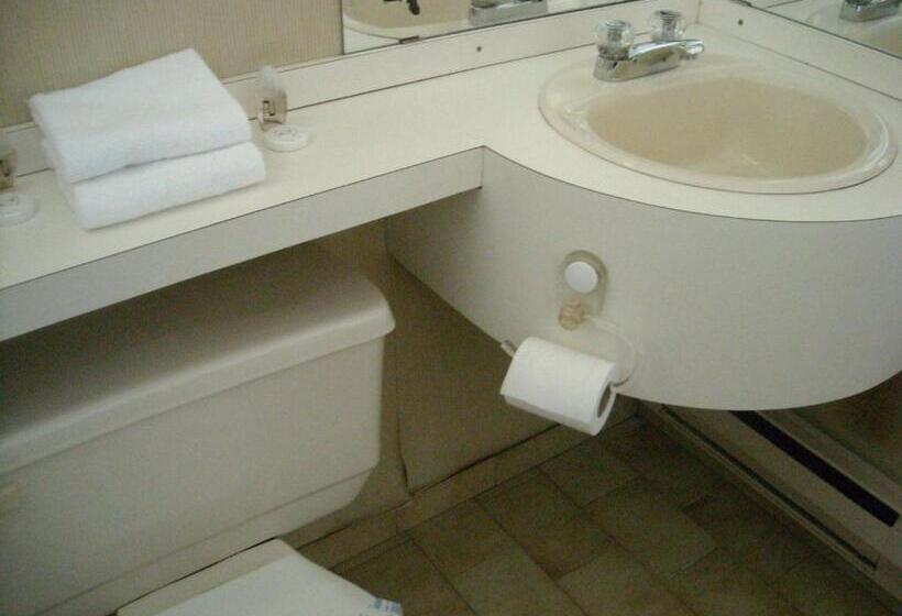 اتاق استاندارد با وان آب گرم, Grand Motel Saint Hubert