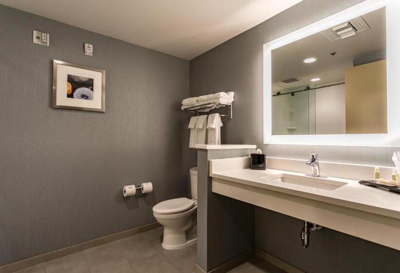 اتاق استاندارد برای معلولان, Holiday Inn  & Suites Chattanooga Downtown