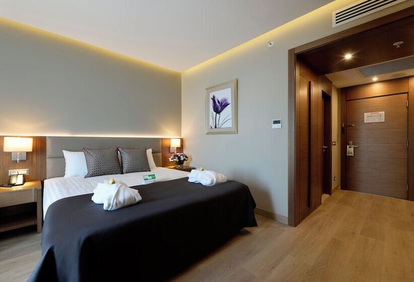 Standard Room Double Bed City View, Holiday Inn Bursa  City Centre