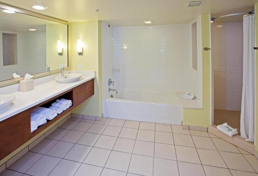 سوئیت 2 خوابه, Holiday Inn Express Indianapolis  Fishers, An Ihg
