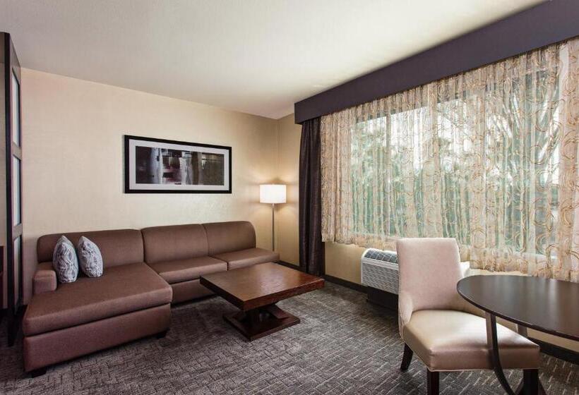 Suite King Size Bed, Holiday Inn Express & Suites Anaheim Resort Area