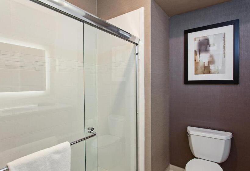 اتاق استاندارد, Holiday Inn Express & Suites Anaheim Resort Area, An Ihg