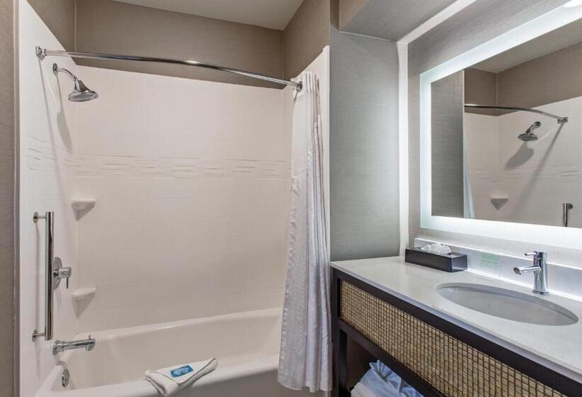 Deluxe Room, Holiday Inn Express & Suites Anaheim Resort Area