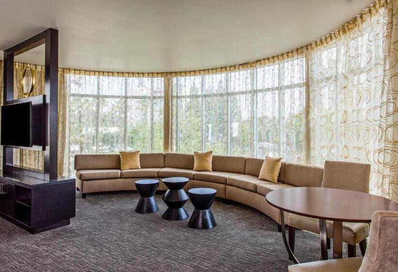 سوئیت پنت هاوس, Holiday Inn Express & Suites Anaheim Resort Area, An Ihg