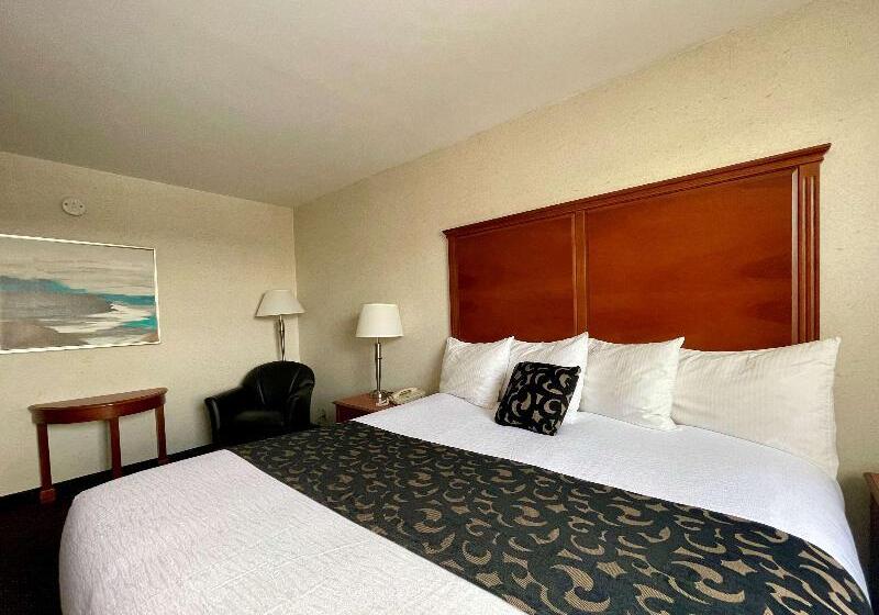 اتاق استاندارد با چشم‌انداز, Indigo Traverse City, An Ihg