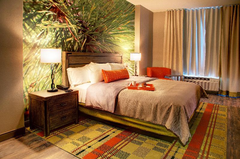 اتاق اجرایی با تخت بزرگ, Indigo Traverse City, An Ihg