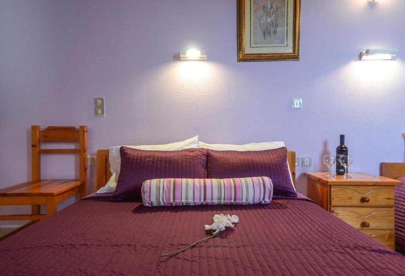 استودیوی استاندارد, Panormos Hotel And Studios