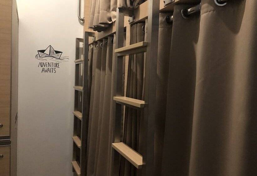 共用房间的床, The Packer Lodge   Hostel
