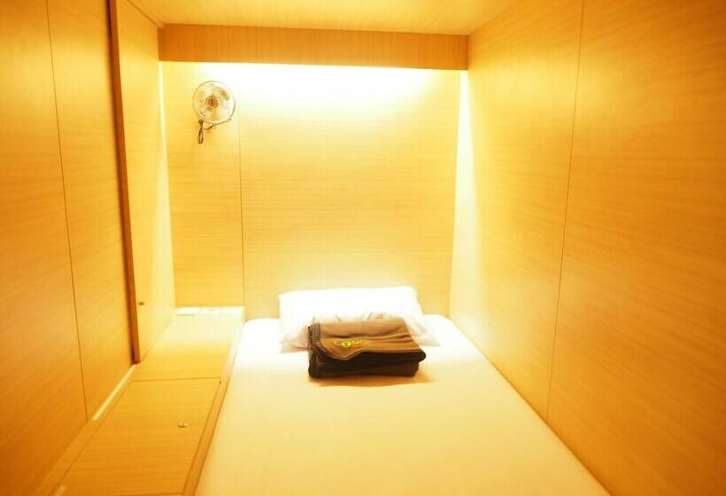 共用房间的床, The Packer Lodge   Hostel
