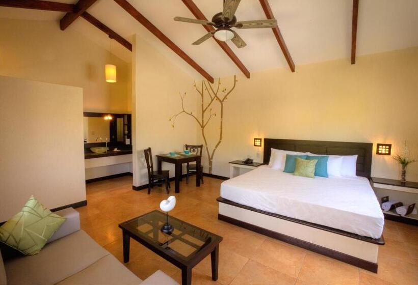اتاق لوکس با تخت بزرگ, Boca Olas Resort Villas