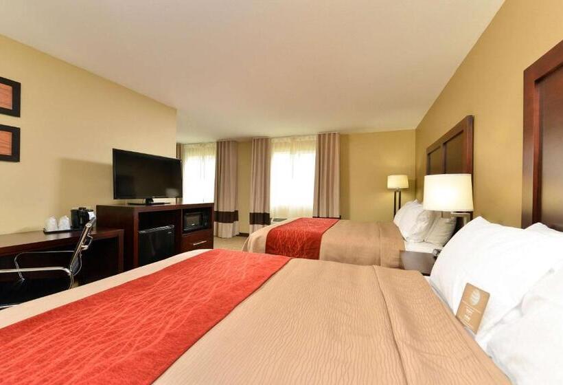 سوییت, Comfort Inn & Suites Manheim   Lebanon
