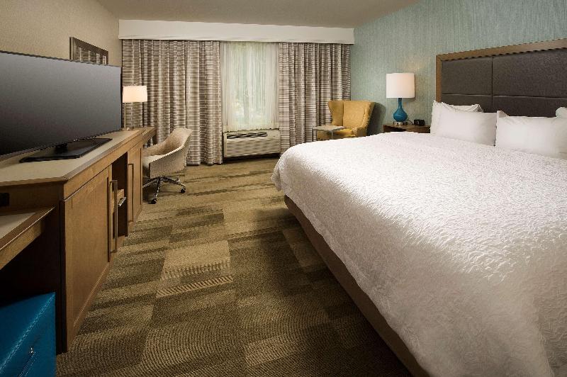 اتاق استاندارد با تخت بزرگ, Hampton Inn & Suites Syracuse/carrier Circle