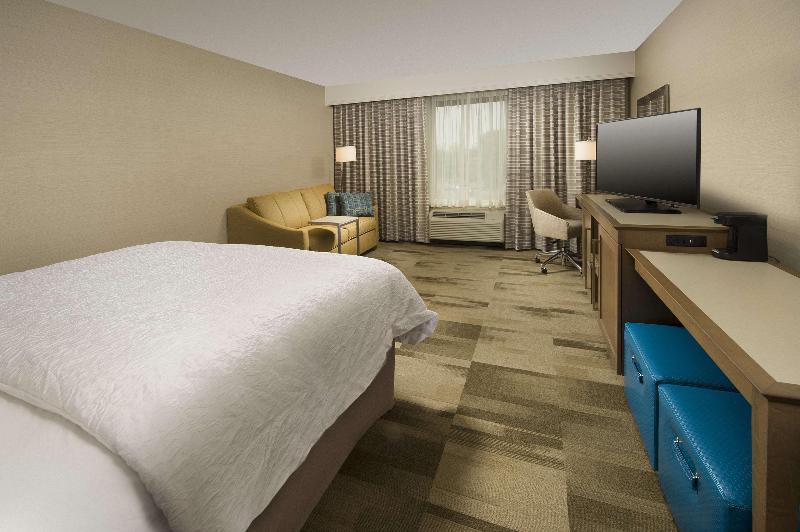 اتاق استاندارد با تخت بزرگ, Hampton Inn & Suites Syracuse/carrier Circle