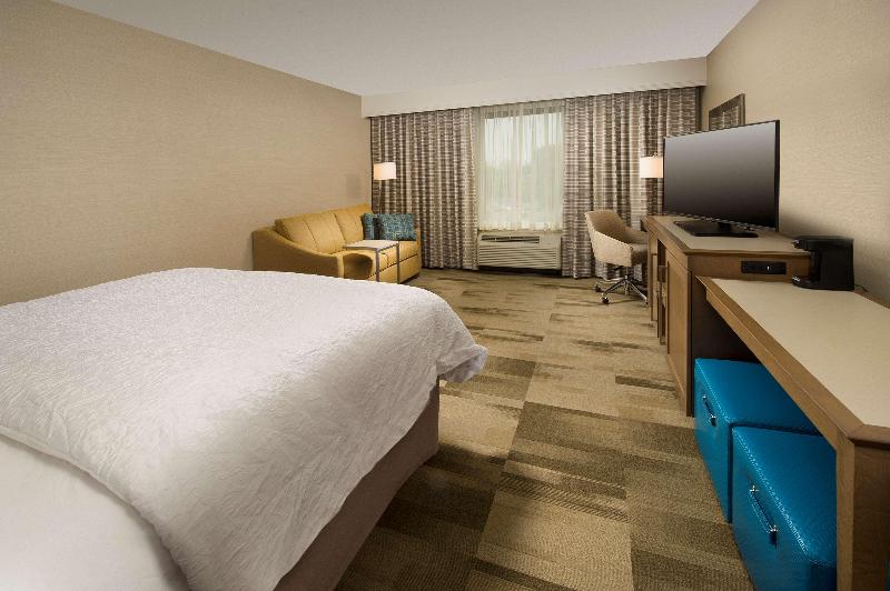 اتاق استاندارد با تخت بزرگ, Hampton Inn & Suites Syracuse/carrier Circle