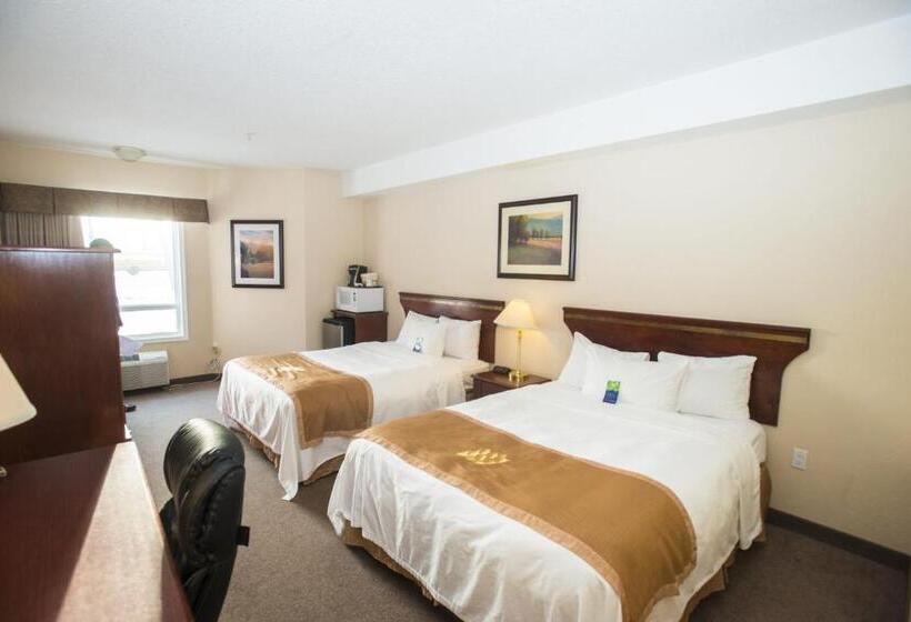 اتاق استاندارد, Lakeview Inns & Suites  Chetwynd