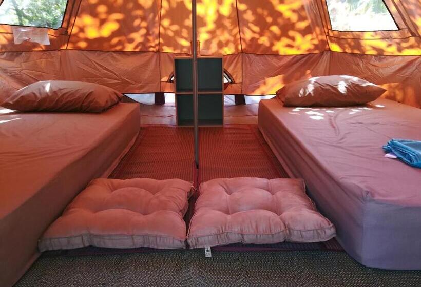 چادر با خدمات رفاهی استاندارد, Cashew Nut Bungalow, Ko Mook