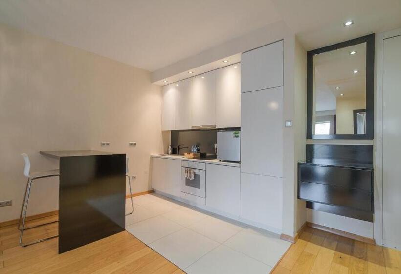 آپارتمان سوپریور 1 خوابه, Chopin Apartments   Platinum Towers