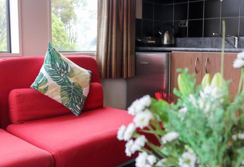 آپارتمان اجرایی 1 خوابه, Coleraine Suites & Apartments