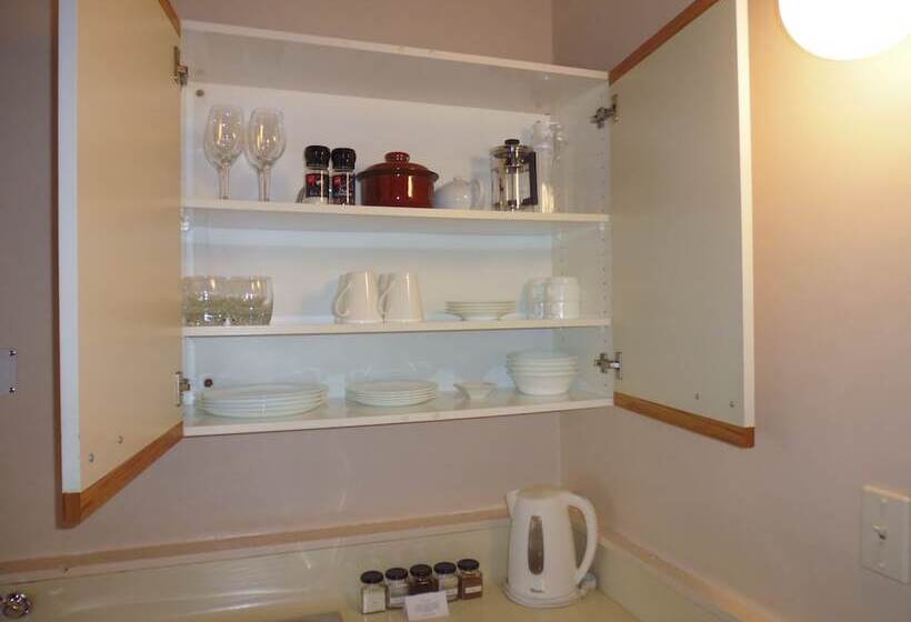 آپارتمان 1 خوابه, Spa Lodge Motel