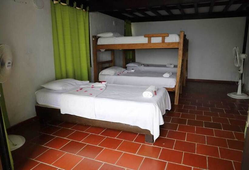اتاق استاندارد, Ecohotel La Cocotera   Hostel