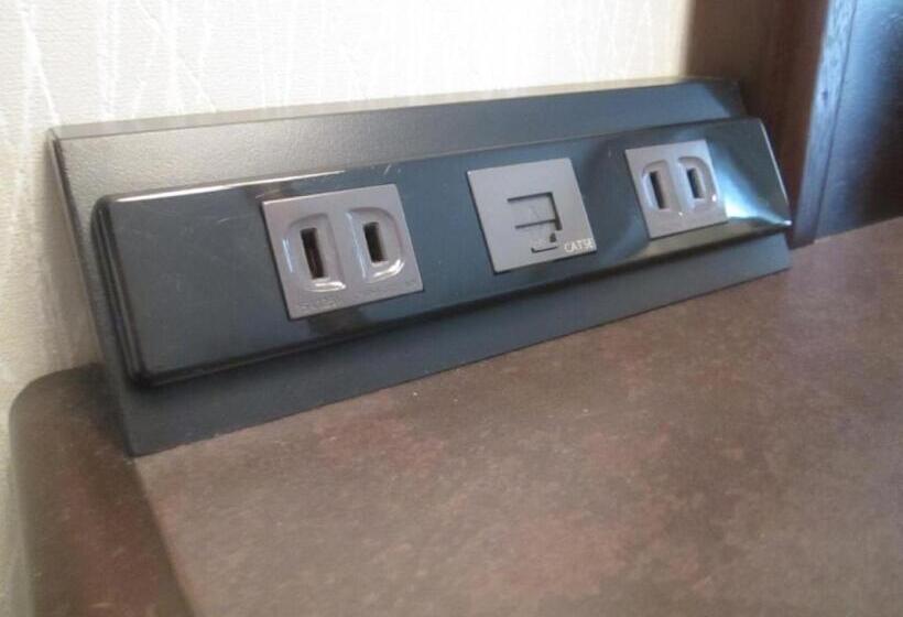 اتاق عادی با تخت دوبل, Apa Hotel Matsuyamajo Nishi