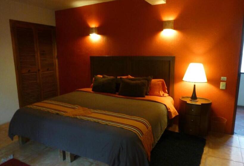 اتاق استاندارد با تخت بزرگ, La Casa Del Rio