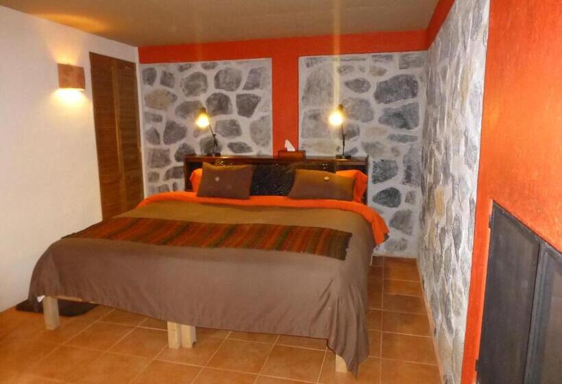 اتاق استاندارد با تخت بزرگ, La Casa Del Rio