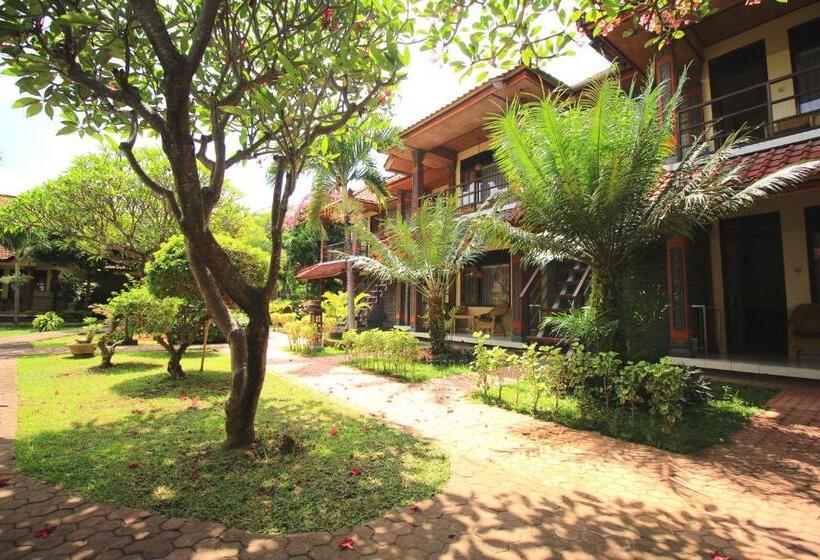 اتاق اساندارد با چشم‌انداز جانبی به دریا, Lovina Beach